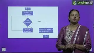 BRAIN ROOT AI ARTIFICIAL INTELLIGENCE CLASS 8 CHAPTER 5 MORE ON CODING