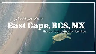 The Best Place To Travel In Mexico for Families! - East Cape, Los Barriles Cabo Pulmo - Family Time
