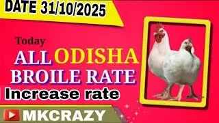 #TodayBroilerRate #Todaychickenrate All odisha broiler rate #Date_31_10_2025  #broilerrate #Mkcrazy 