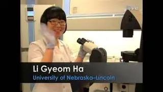 Исследование быстрого давления на нейронные клетки для понимания механизмов травматического повре...