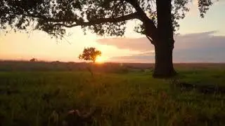 4K Golden Hour Meditation | Long Nature Video for Relaxation