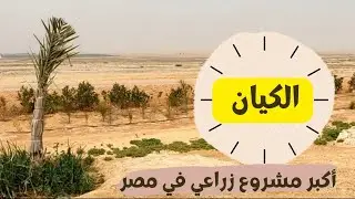 اضخم مشروع زراعي الان فى مصر (الكيان)