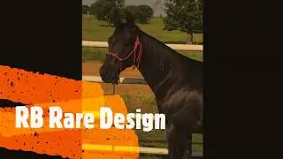 RB Rare Design
