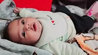 1 July 2024 video #amber #shortvideo #exciting ##babynoises