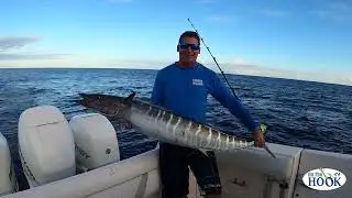 Can You Catch a Monster WAHOO with a Tiger Shark Around?
