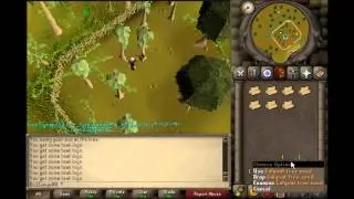 99 wc