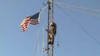 WEST ISLAND WEATHER STATION TOWER being serviced