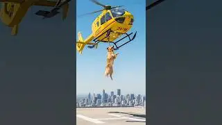 🚨 Hero Dog Joins Helicopter Rescue Mission | Golden Retriever Saves the Day 🐶🚁 #shorts