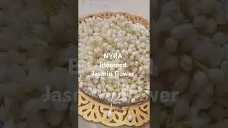 🌸 Nyra Bloomed Jasmine Flower &ndash; The Essence of Elegance! 🌸