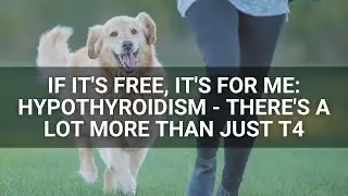 If It's Free, It's for Me: Hypothyroidism - There's a Lot More Than Just T4