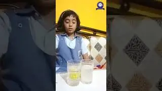 Why does a lemon float in saltwater? explained by Ms. Ansika Maurya (Std-4)