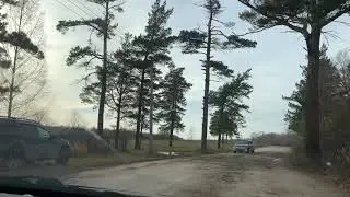 Пока не исчезли солнечные дни 🍂