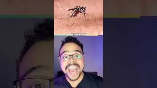 Fatos Marcantes do ano de 2016