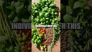 The Mystery of Taste: Why Does Cilantro Taste Like Soap to Some?