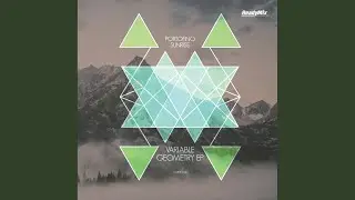 Variable Geometry (Original Mix)