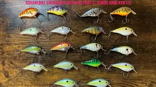 Squarebill Crankbait Deep Dive Part 3 - Strike King KVD 1.5