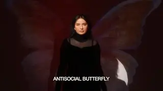 Candi Carpenter - Antisocial Butterfly (Visualizer)