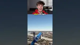What happends if Both Pilots Die? #aviation #pilot #planecrash #msfs2020 #nikalasvr ￼#foryou #fyp