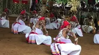 මේ තරම් ලස්සන වෙස් මංගල්‍යයක් 😍 සුභ අනාගතයක් දරුවනේ #danse