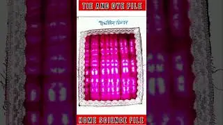Home Science Practical File|Tie And Dye File|#viralshort #trendingshorts #shorts