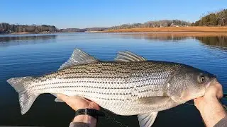 It started pulling the boat (Boone Lake)