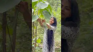 Any jackfruit lovers ? 😋😋 #foryou #viralvideo #1millionaudition #shorts #pickle  #shortsvideo