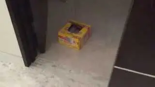 Bought A House, Have To Burn It Down.