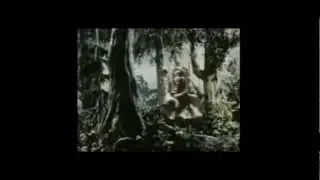 Lil Red Riding Hood Wyzaker Cover