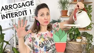 🌵 Faut-il arroser les plantes grasses en hiver ? 💦