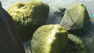 jacpot na naman sa spot talim island