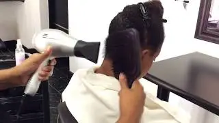 Design Essentials Agave and Lavender Blow Dry and Silk Press Collection Demo