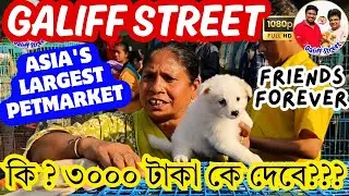 Galiff Street Pet Market Kolkata | dog market in kolkata | Dog Price | Gallif street kolkata | Dogs