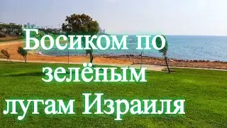 Мидрон. Приморский парк Яффо Тель - Авив .Израиль