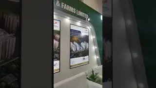 RAMKY group, Hyderabad