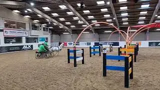 Indoor driving, single pony - obstacle driving