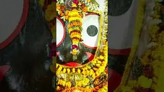 D.13.1.2026#jayjagannath #purijagannadh #odiabhajan #brajamohanji#viralvideo