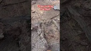 Under Leaking Flat Roof | Your Boston Roofer | Flat Rubber Roof Repair #flat #roof
