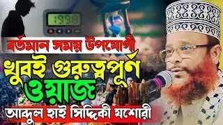 বর্তমান সময়ের প্রেক্ষাপটে কলিজা কাঁপানো এক বয়ান | মাওলানা আব্দুল হাই সিদ্দিকী যশোরী | New Waz 2025