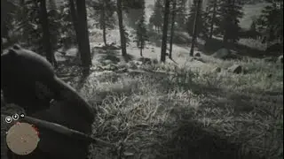 Man Vs Bear #RDR2