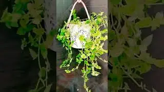 #Diy #turtle vine indoor #baskets. @Creativecorner09-l1o