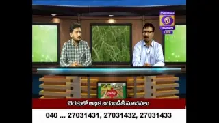 RaithuNestam :Sugarcane High yield references/చెరకులో అధిక దిగుబడికి సూచనలు Dt:06/02/2019