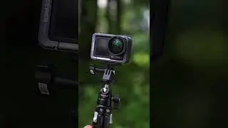Is the NEEWER 185&deg; FOV Lens Review ACCURATE or Misleading?