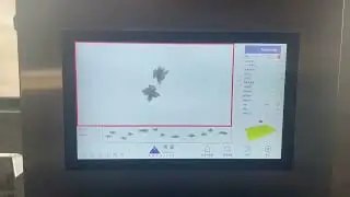 X-Ray Inspection for Vacuum-Packed Peanuts | Foreign Body Detection & Packaging Quality Control