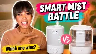 Levoit vs Dreo Humidifier Review &mdash; Which One Should You Buy?