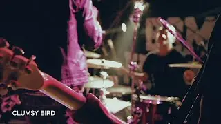 Bomb Factory: Clumsy Bird (Live at Shimokitazawa Shelter #1)