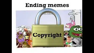 article 13