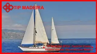 TIP MADEIRA - Yacht for Charter SPICA - Calheta - Madeira