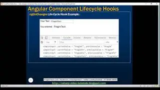 Angular component lifecycle hooks
