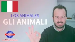 LOS ANIMALES EN ITALIANO. CURSO BÁSICO DE ITALIANO.- Episodio 10