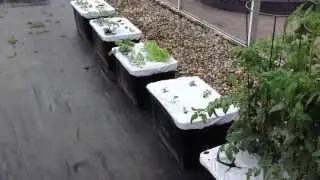 Установка контейнерного сада с автополивом от Farmdaddy